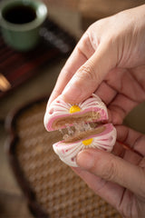 Whispers Of The Ferris Moon   摩天轮的密语