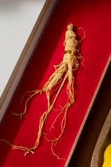 Palace Glory 宫锦纳祥